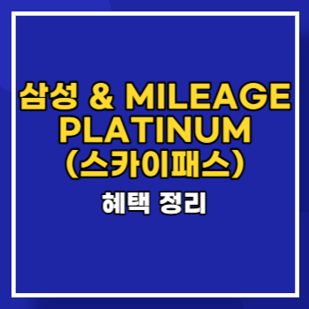 삼성카드 & MILEAGE PLATINUM(스카이패스) main