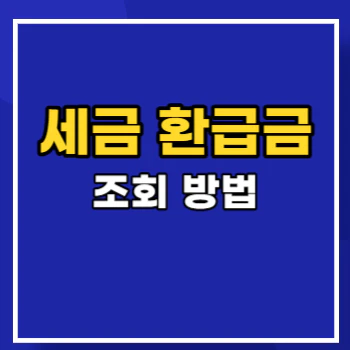 세금-환급금-조회-main