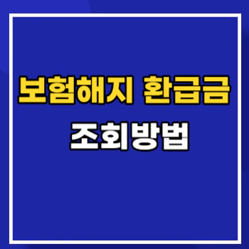 보험-해지환급금-조회-main