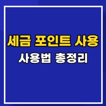세금-포인트-사용-main