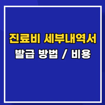 진료비-세부내역서-main