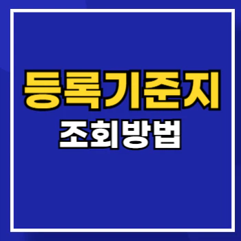등록기준지-조회-main