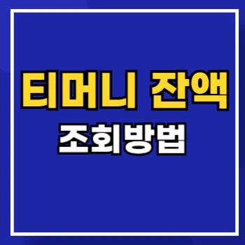 티머니-잔액조회-main