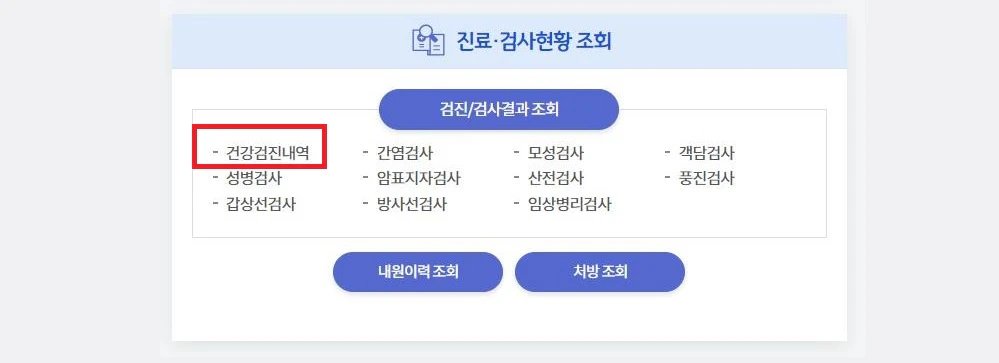 건강검진-내역-조회