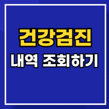건강검진-내역-조회-main