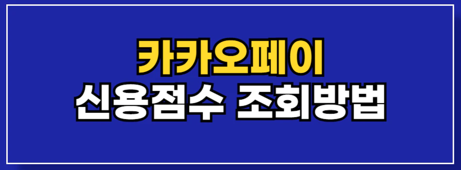 카카오페이-신용점수