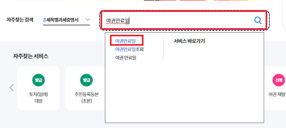 여권-만료일-조회